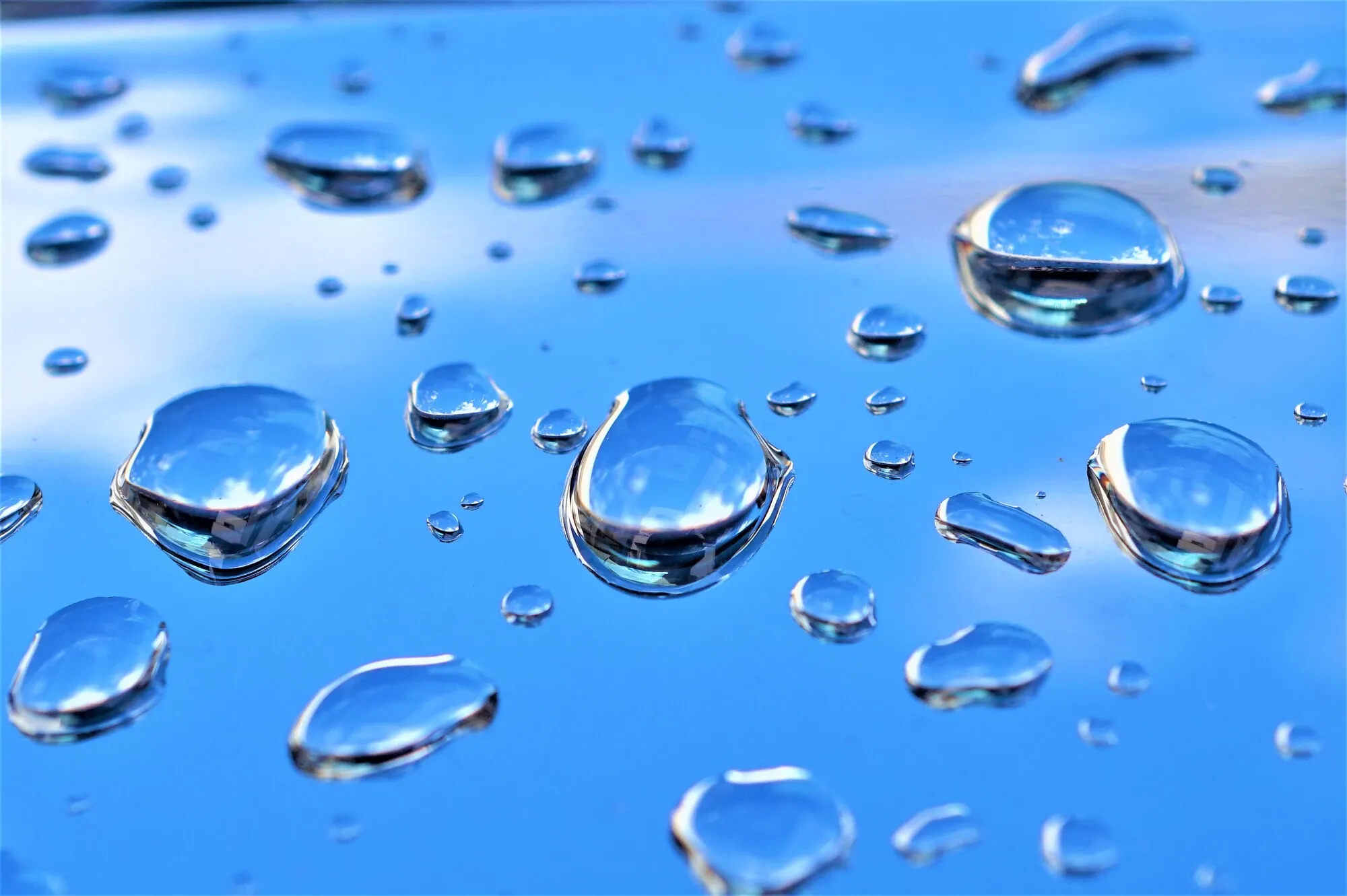 コーティング施工後、水を弾く美しいボディ